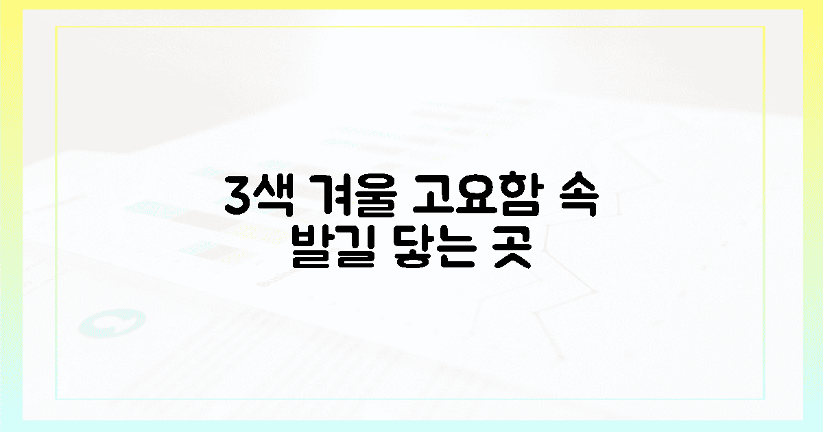 3색 겨울, 발길 닿는 고요함