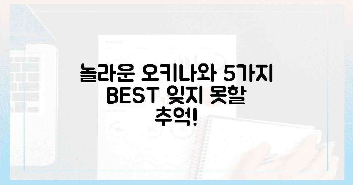 5가지 놀라운 오키나와, 잊지 못할 추억!