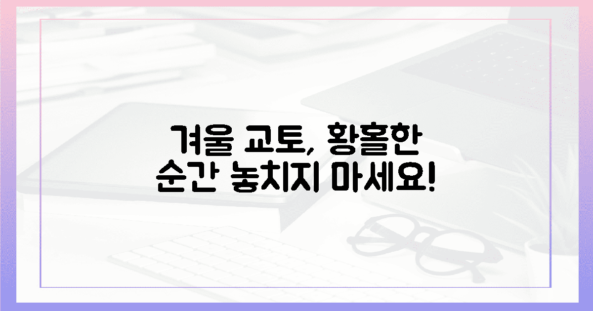 겨울의 교토, 잊지 못할 감동을 담아가세요!