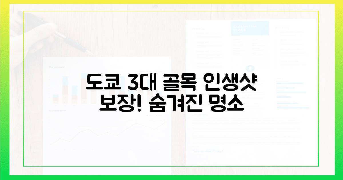 도쿄 3대 골목길, 인생샷 보장!