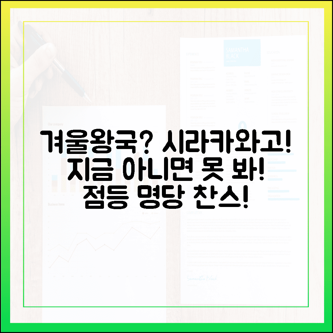 환상적인 겨울왕국 실사판, 지금 아니면 못 보는 시라카와고 점등 명당