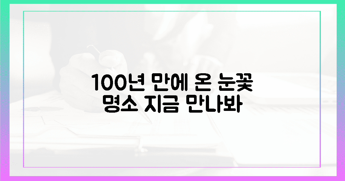 100년 만의 기록적 설경, 지금 만나자