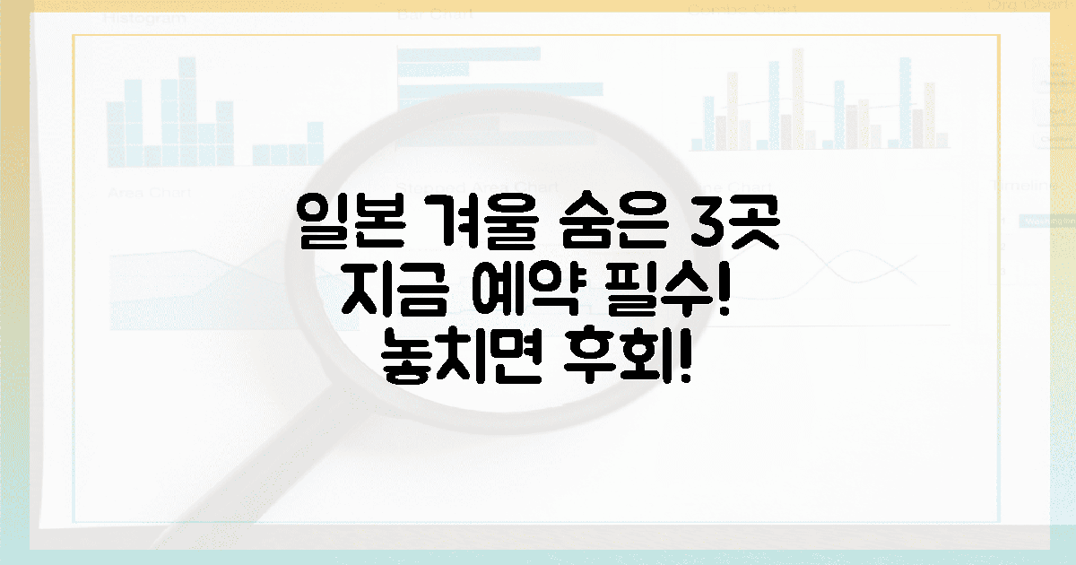 당신만 아는 일본 겨울 3곳, 지금 예약하세요!