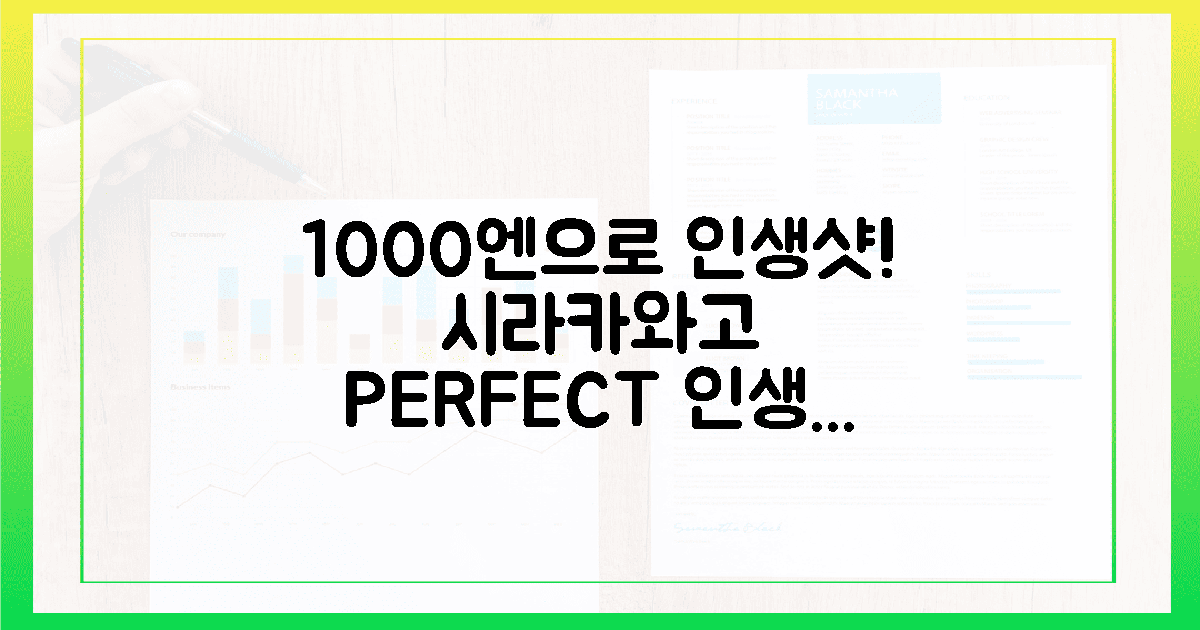 1000엔으로 시라카와고 인생샷 200% 건지기
