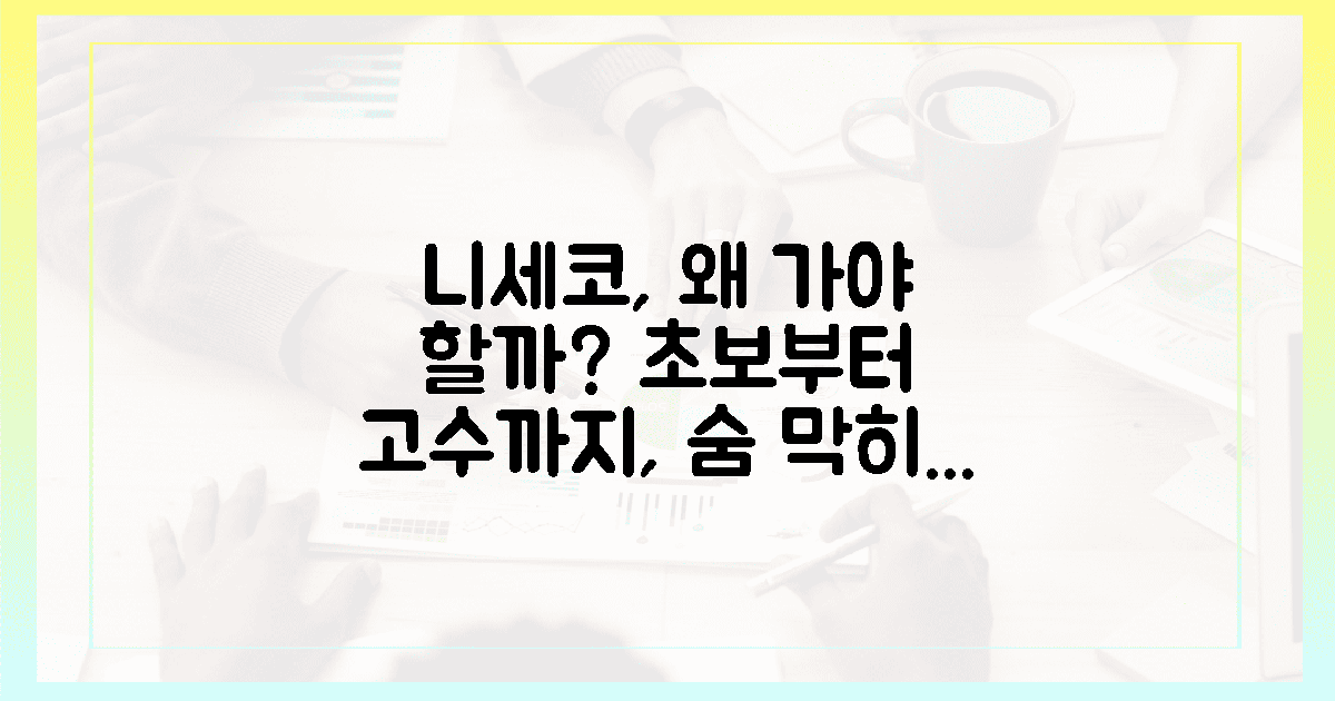 초보부터 고수까지, 니세코 꼭 가야 할 이유는?