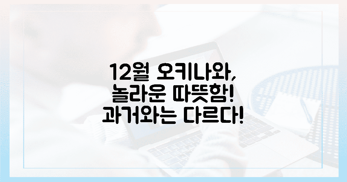12월 오키나와, 과거와는 다른 따뜻함!