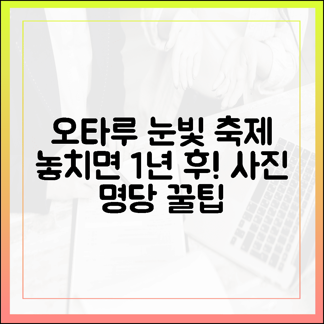 놓치면 1년을 기다려야 할 오타루 운하 눈빛 축제, 사진 잘 나오는 명당 정리