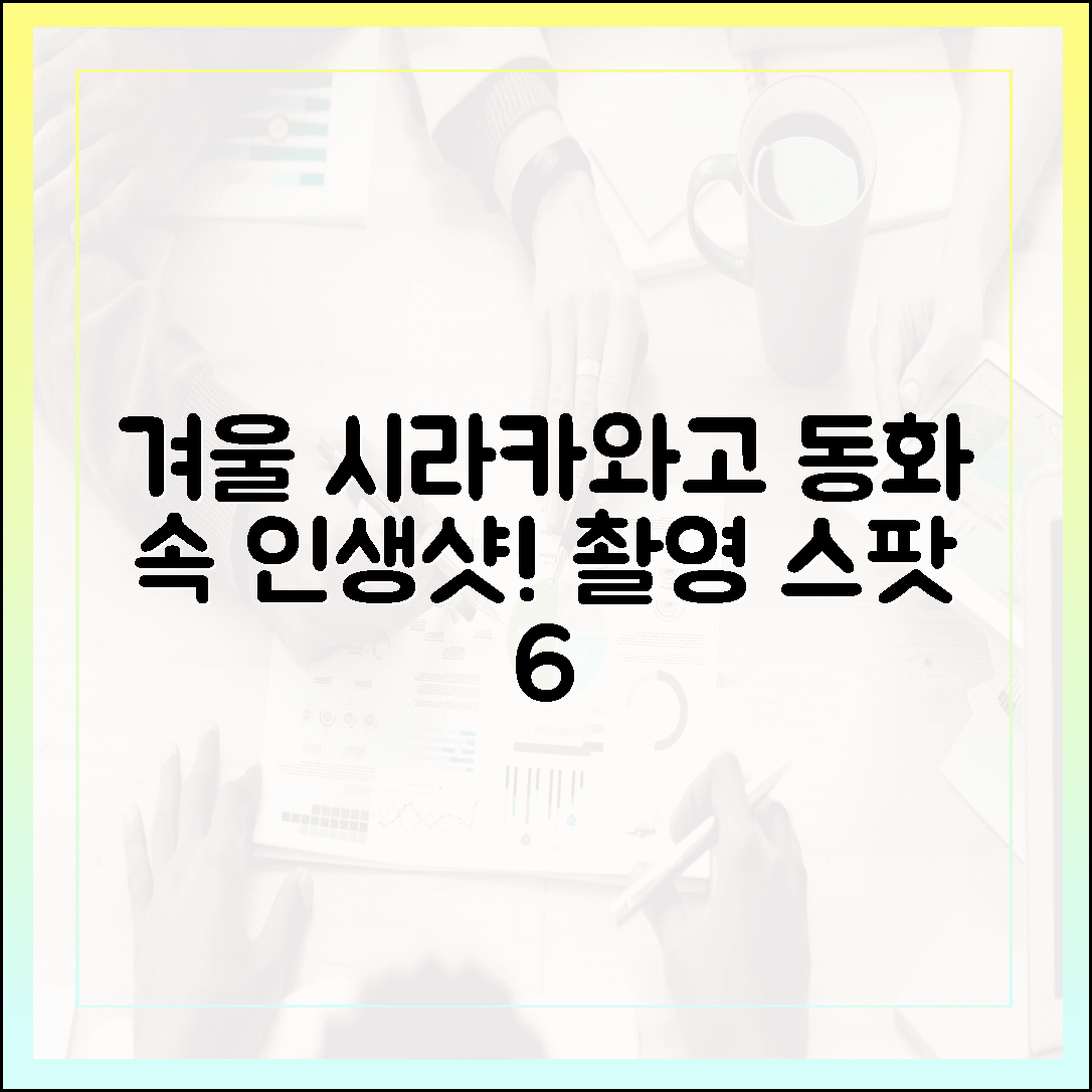 인생샷 무조건 건지는 동화 속 세상, 시라카와고 겨울 여행 촬영 스팟 6