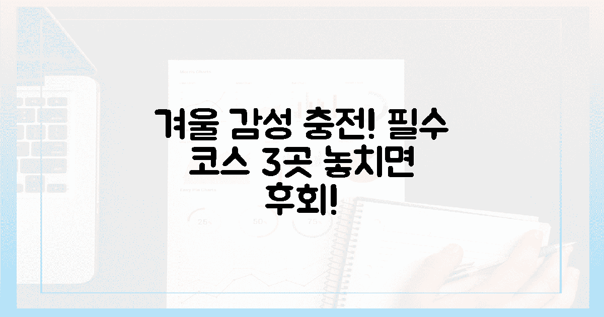 3가지 필수 코스! 겨울 감성 충전 스팟은 어디?