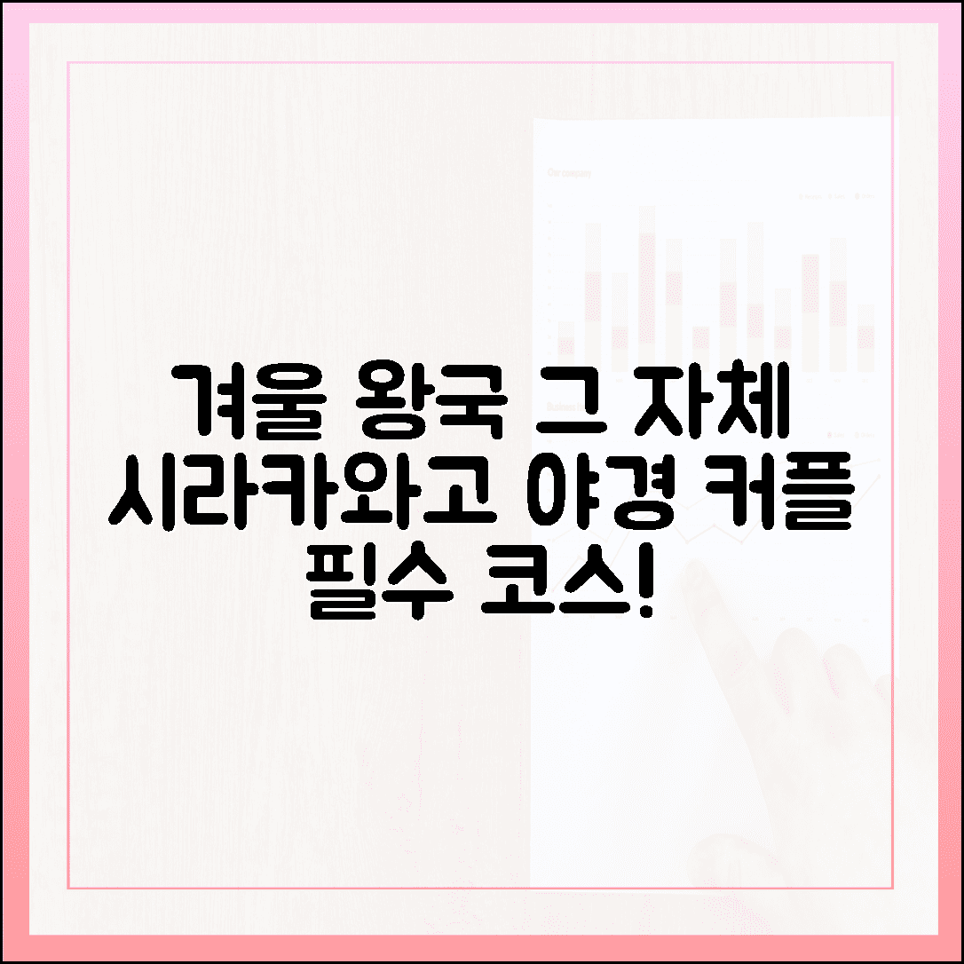 겨울 왕국 그 자체, 커플들이 열광하는 시라카와고 야경 투어 꿀팁