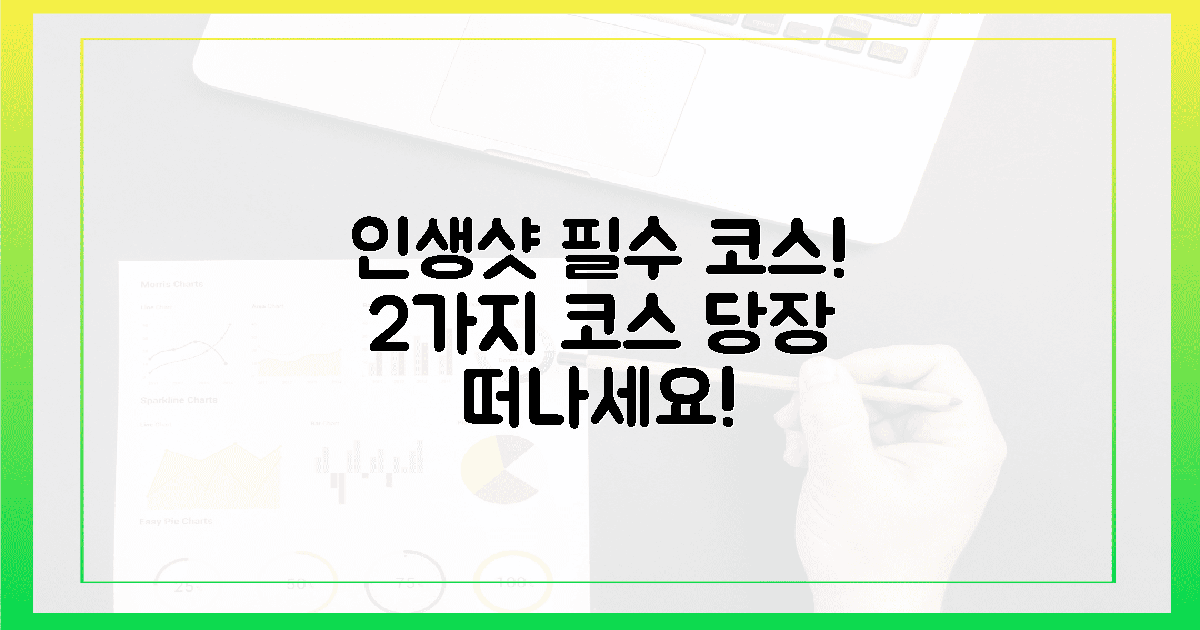 2가지 필수 코스, 인생샷 보장!