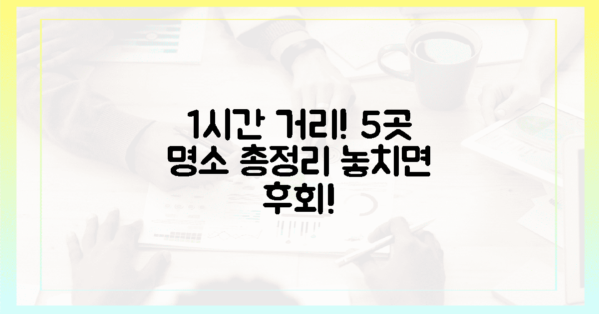 1시간 거리! 5곳 명소 총정리