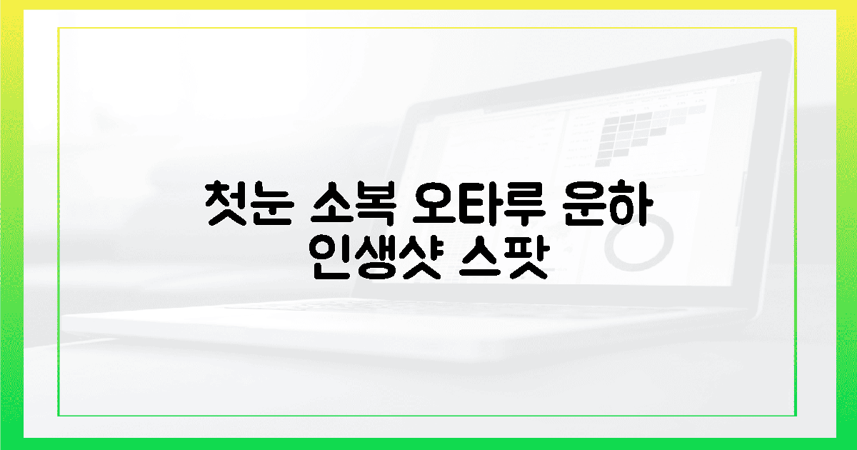 첫눈 소복, 동화 속 오타루 운하 100% 인생샷