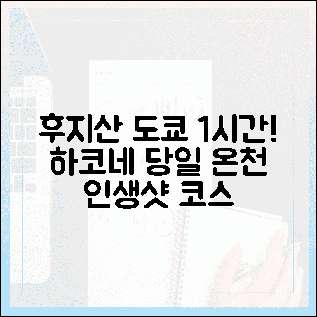 도쿄에서 1시간, 눈 덮인 후지산을 바라보며 즐기는 하코네 당일치기 온천 코스 추천