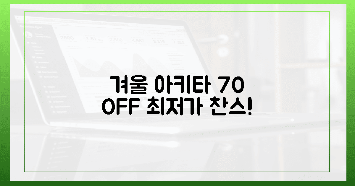 70% 할인! 겨울 아키타 최저가