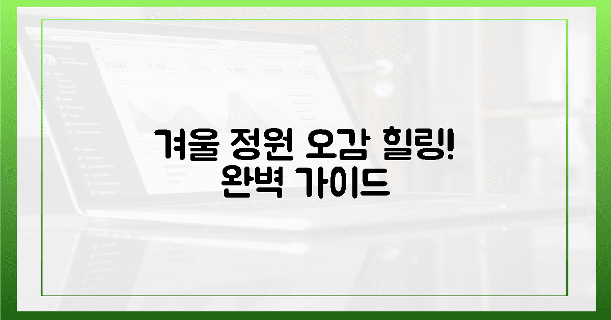 찬란한 겨울 정원: 오감 힐링 완벽 가이드