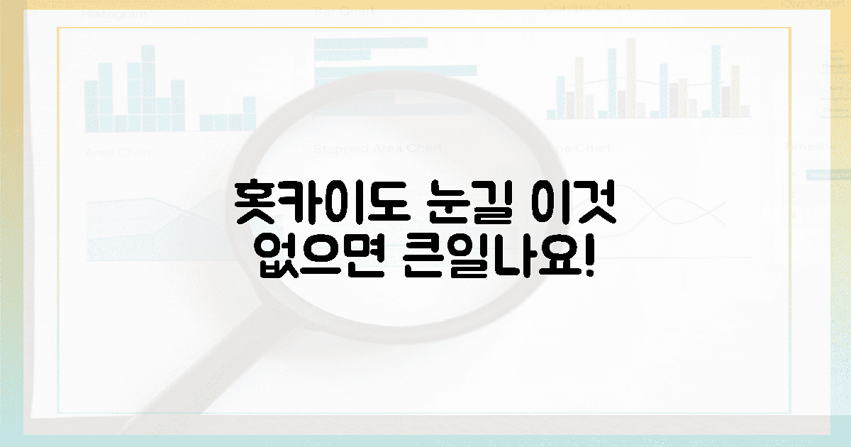 홋카이도 눈길, 이것 모르면 위험!