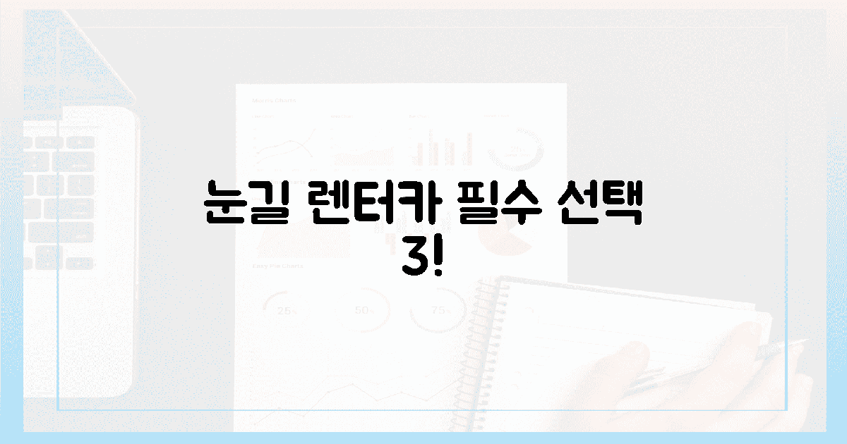 렌터카 선택! 눈길 최적 3가지