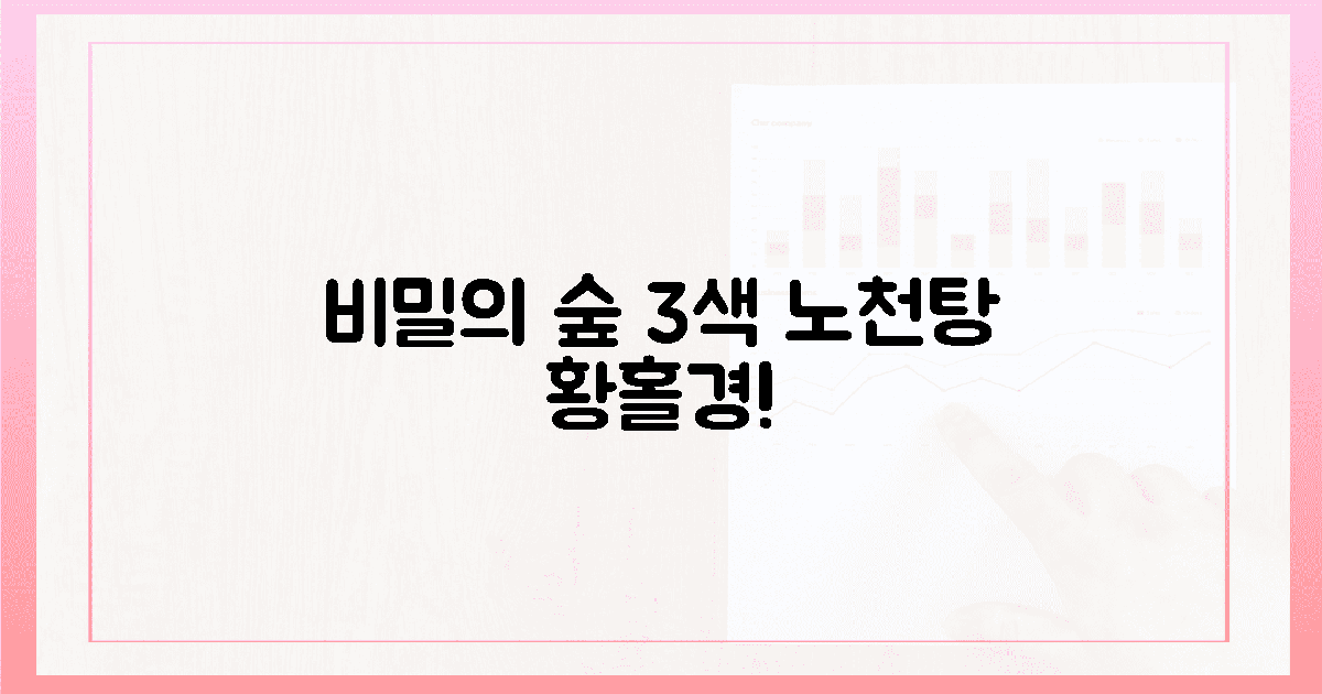 비밀의 숲: 3색 노천탕 황홀경