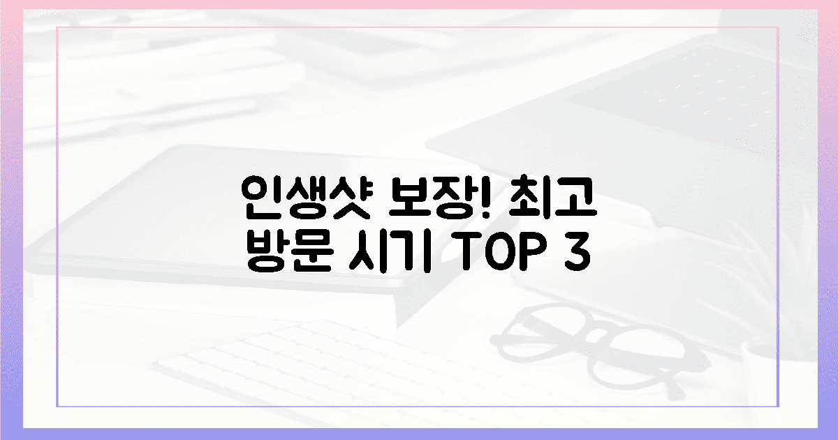 인생샷 보장! 최고의 방문 시기 3가지