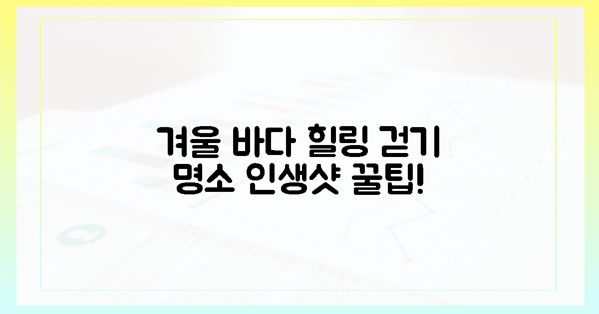 영혼 정화! 겨울 바다 걷기 명소 & 인생샷 팁
