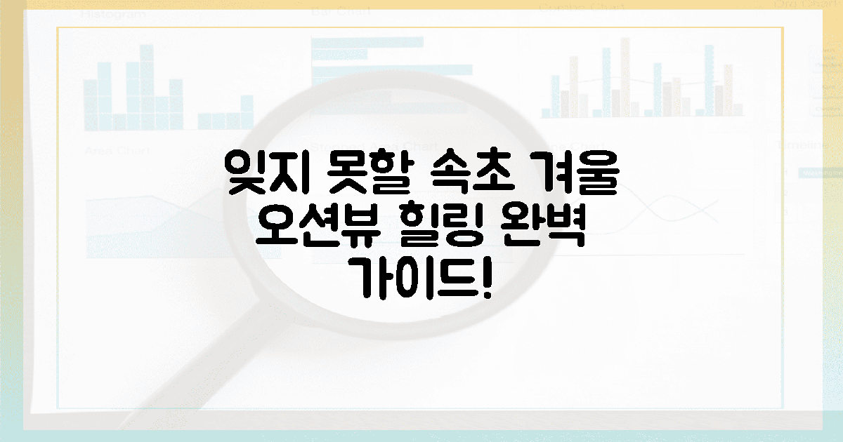 잊지 못할 겨울 속초, 오션뷰 힐링 완벽 가이드