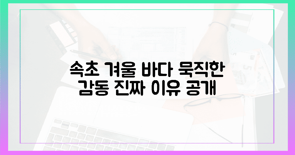 왜 겨울 속초 바다가 '묵직한 감동'일까?