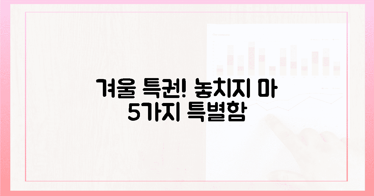 발견! 겨울에만 즐길 5가지 특별함