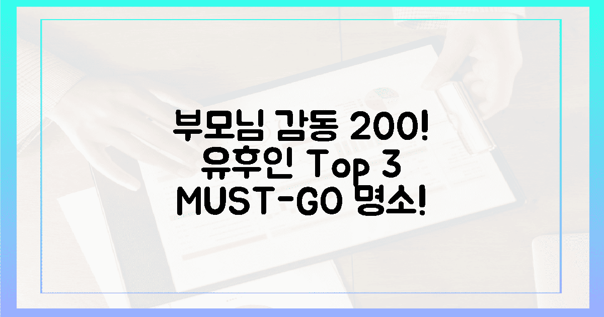 부모님 감동 200%! 유후인 명소 3선