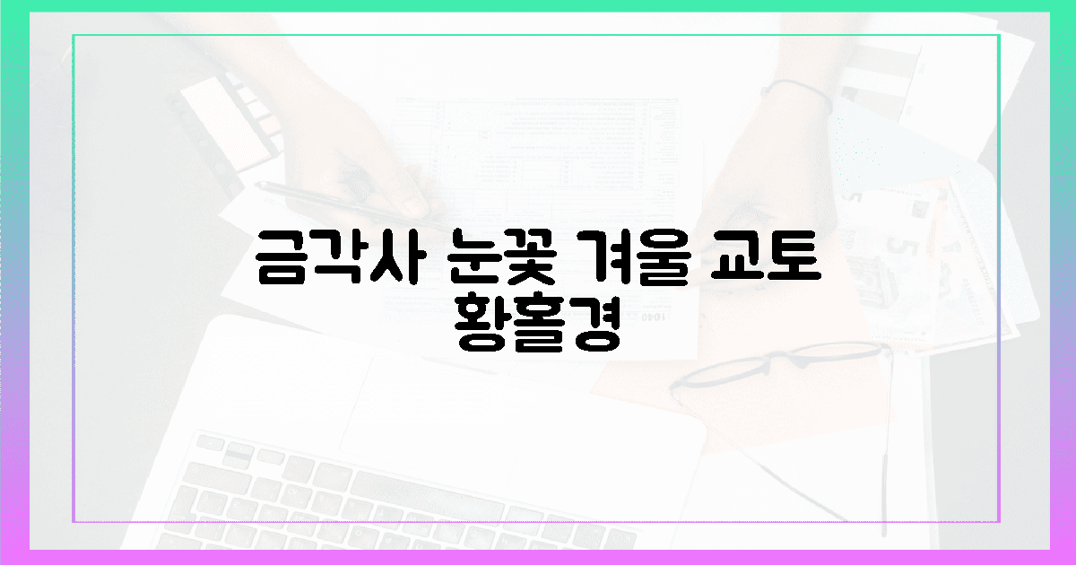눈 덮인 금각사, 겨울 교토의 황홀경