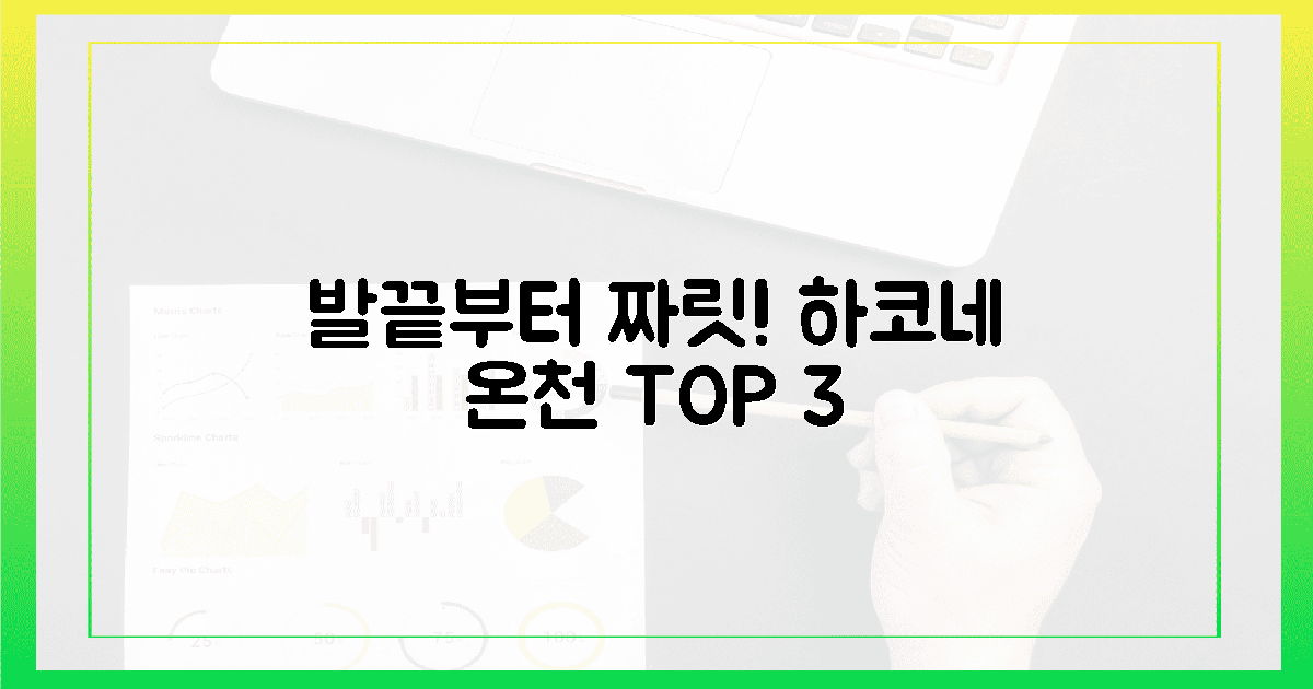 발끝부터 짜릿! 하코네 온천 명소 3