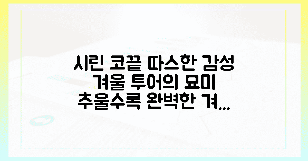 시린 코끝과 따스한 감성, 겨울 투어의 묘미