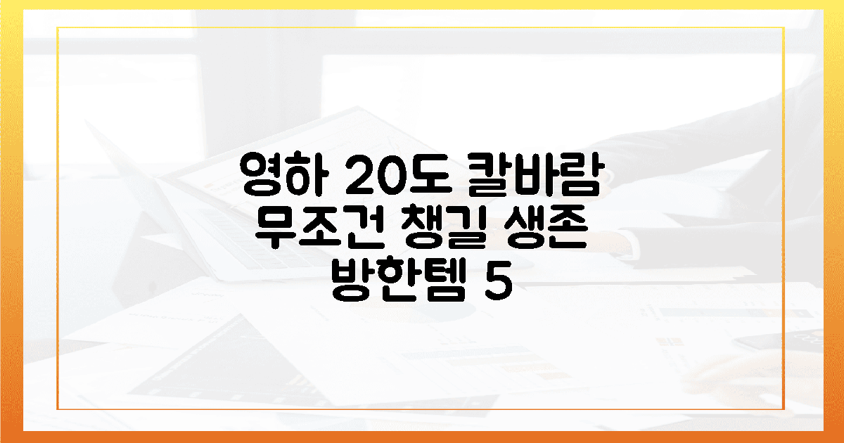 영하 20도 칼바람을 이기는, 5가지 필수 생존 방한템