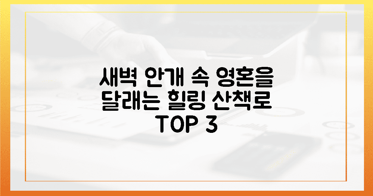 영혼을 달래는 새벽 안개 속 3가지 힐링 산책로