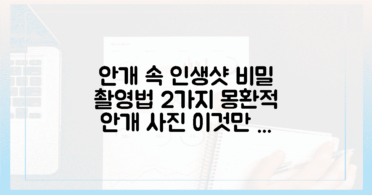 안개 낀 황홀한 순간을 기록할 2가지 촬영 비밀