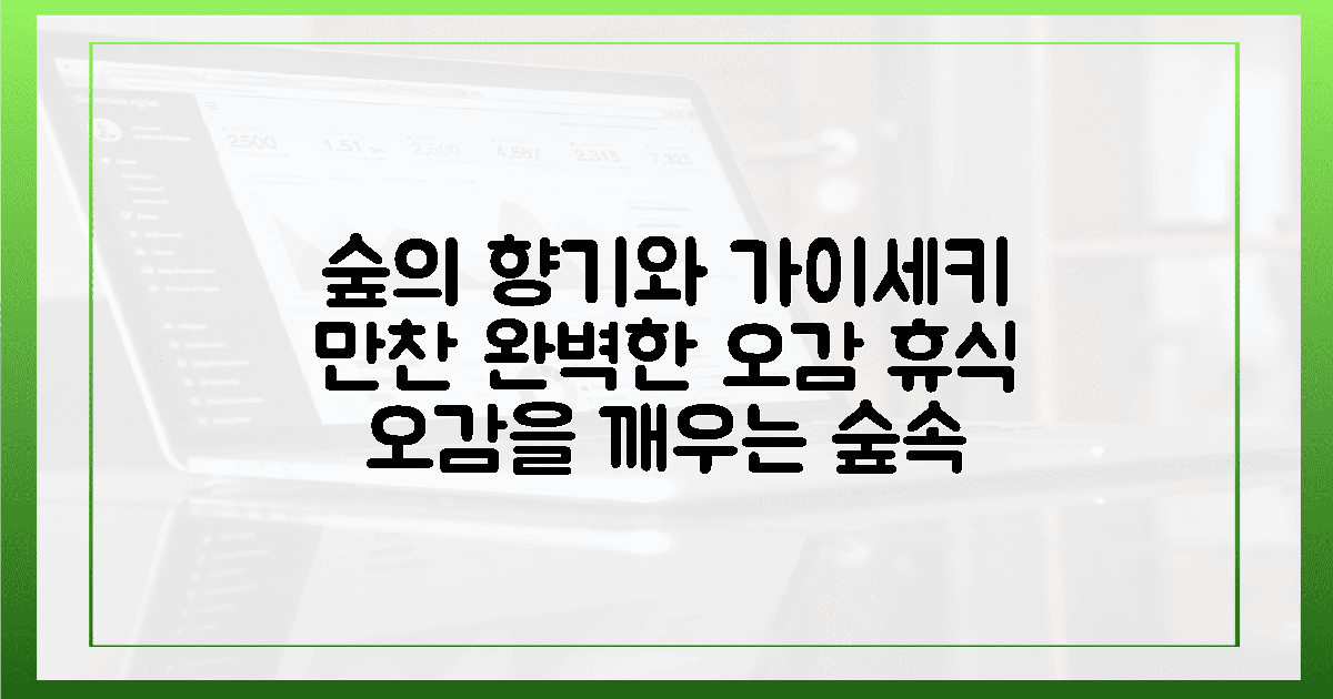 숲의 향과 가이세키가 빚은 오감 휴식