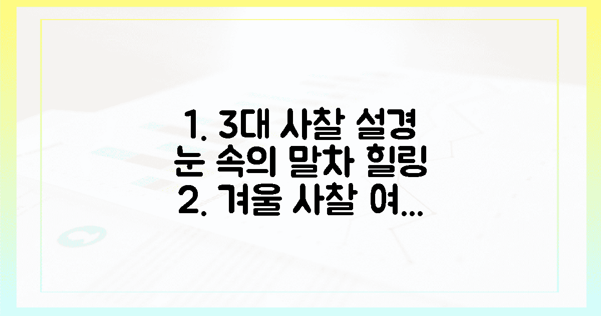 3대 사찰에서 만나는 설경 속 말차의 향기