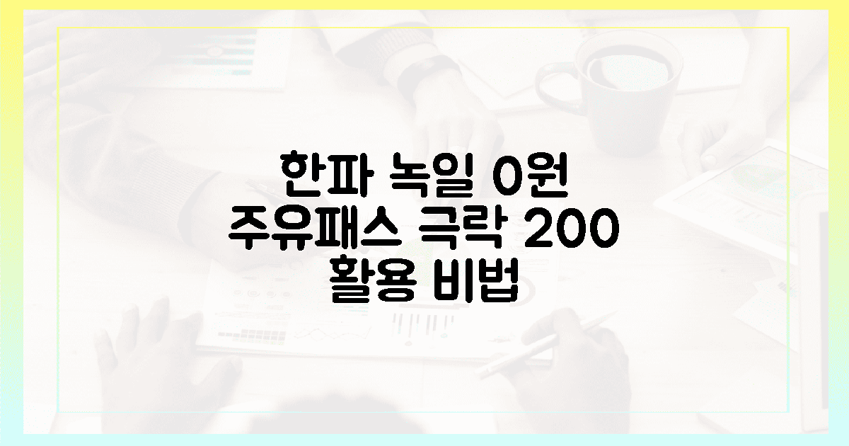 한파 녹일 0원의 행복, 주유패스 극락 비법