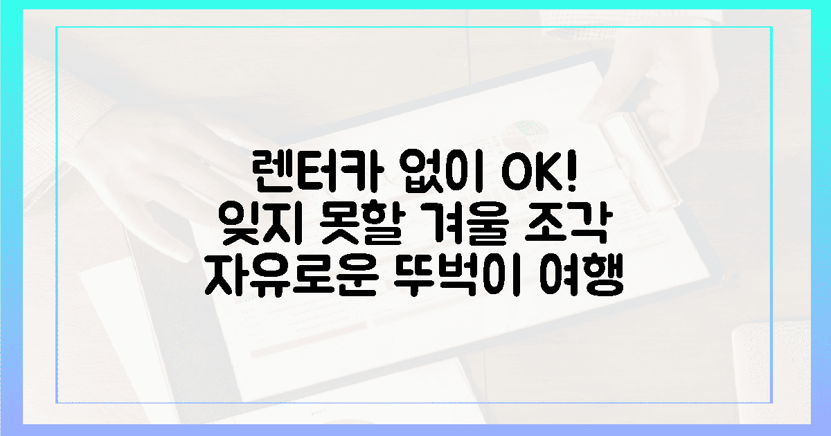 렌터카 없이 누리는 자유, 잊지 못할 겨울의 조각들