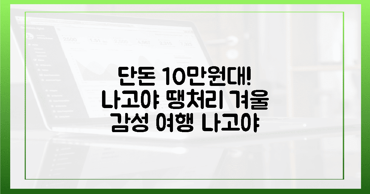 10만원대 땡처리로 챙긴 나고야 겨울 감성